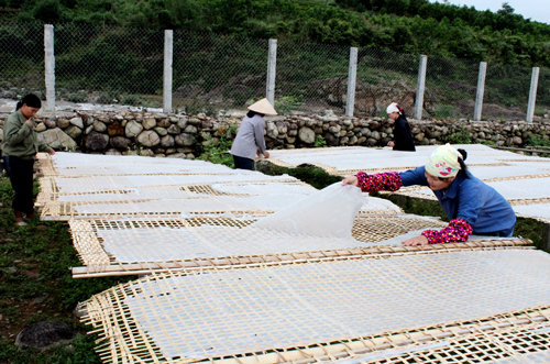 Quang Ninh builds trademark for agricultural products